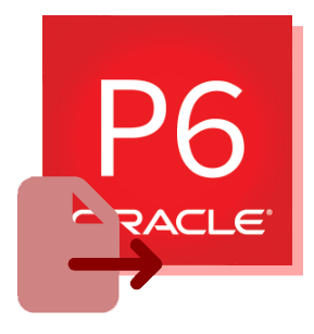 P6 Exporter